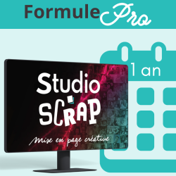 Studio-Scrap 9 - Pro - 1 jaar