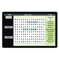 Facilotab XXL Nomad - WiFi + 4G - 256Go - Android 15 - Très grand écran - Tablette simplifiée pour Seniors