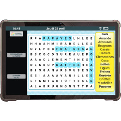 Facilotab Nomad, WiFi + 4G, 128 GB, Android 15, vereinfachtes Tablet für Senioren