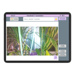 Facilotab XXL Classic - WiFi 256GB - Android 15 - Pantalla extragrande - Tableta simplificada para personas mayores