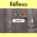 Réflexo