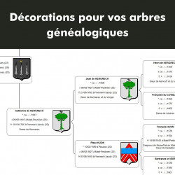 Mise à jour de Héraldique 9 vers Héraldique 10 en CD-Rom
