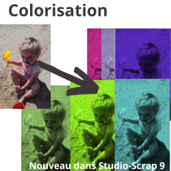 Studio-Scrap 9 - Deluxe - Pass 1 an