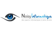 Noisy Informatique