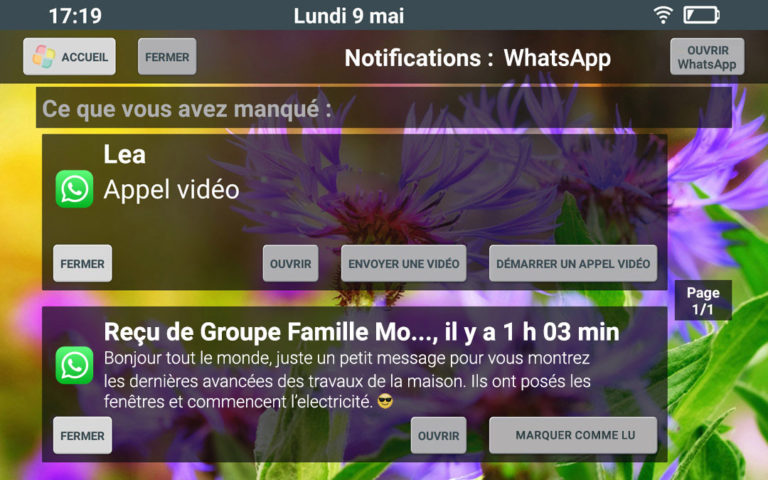 notification whatsApp